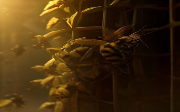 Save-the-Bees-Semen-Bank-Conserve-Super-Bee-Species